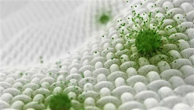Menene Fabrics Tare da Abubuwan Antibacterial?